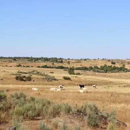 Casa Do Vale Da Mula *